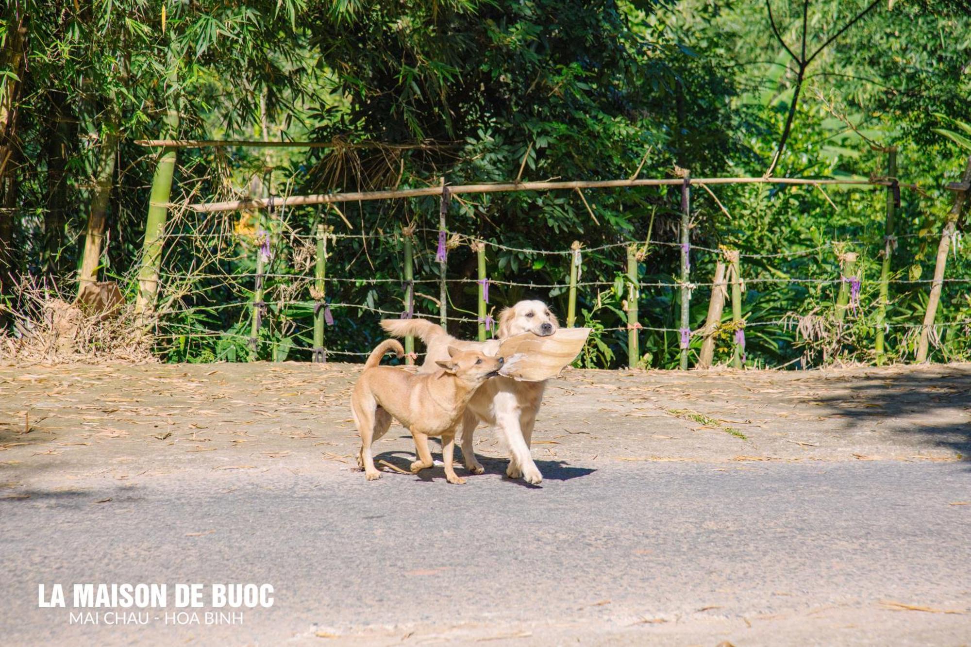 La Maison De Buoc Mai Chau Eksteriør bilde