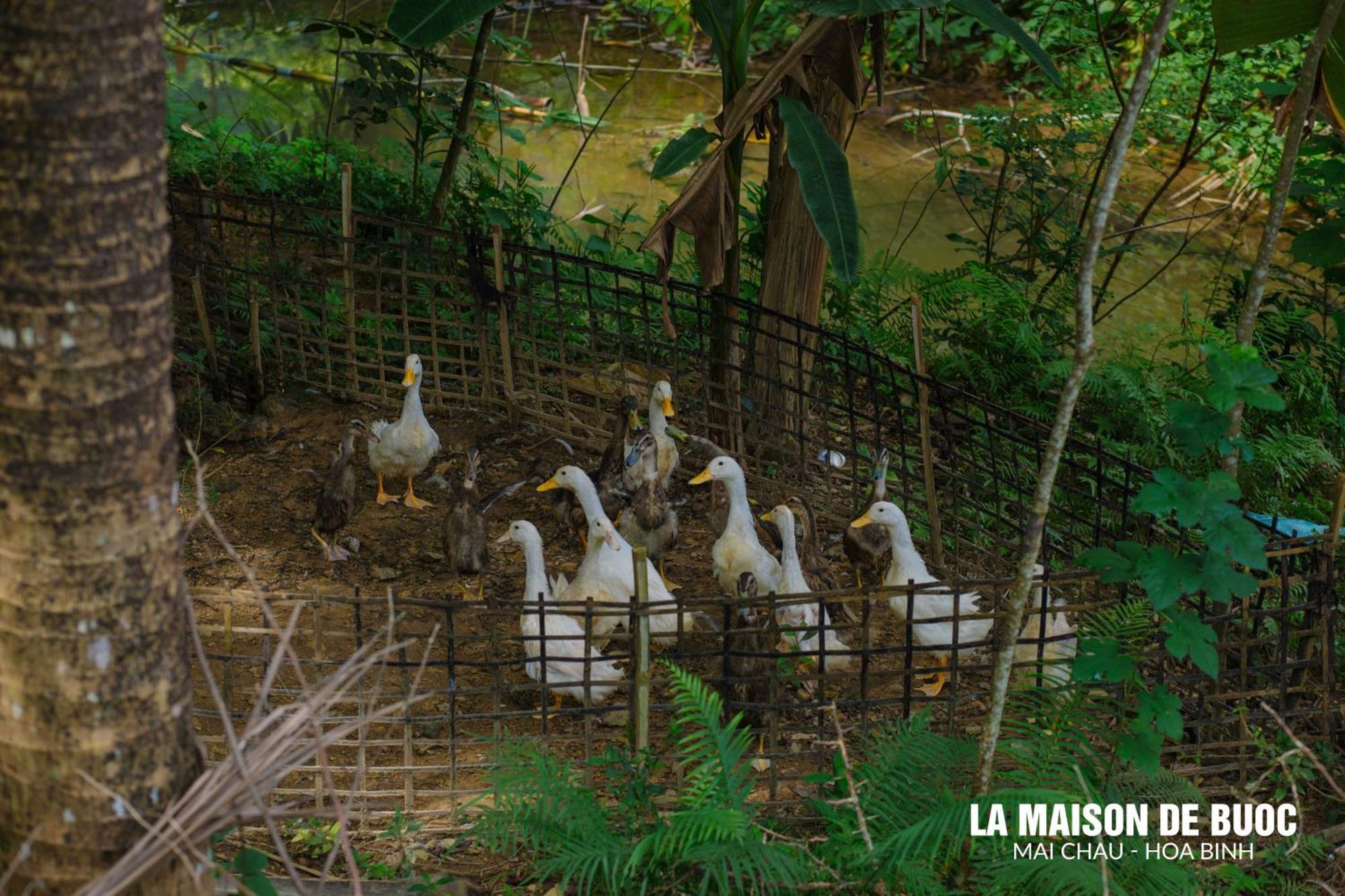 La Maison De Buoc Mai Chau Eksteriør bilde